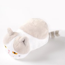 Tsuchineko Shiawase Kagi Shippo Cat Pen Pouches