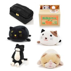 All Kinds of Cats Set